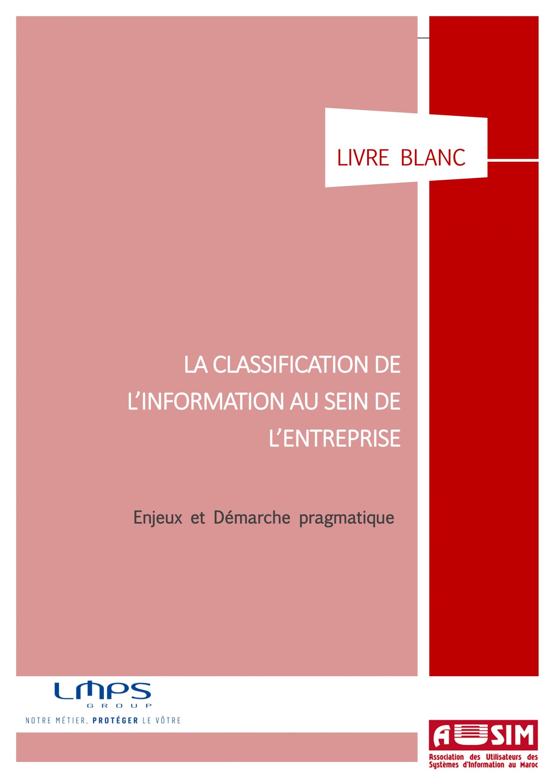 LMPS-AUSIM-Livre-Blanc-Classification-des-Données